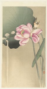 鸣鸟与莲花 作者 大原功臣