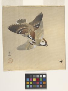 麻雀逐飞虫（水墨设色绢本） 作者 大原功臣