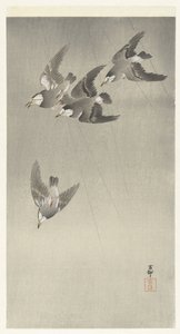 雨中的椋鸟 作者 大原功臣