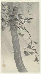 暴风雨中的长尾山雀 作者 大原功臣