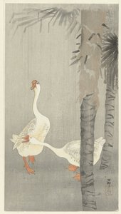 雨中的塔姆 作者 大原功臣