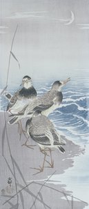 芦苇荡前水边的三只鹬鸟（彩色木版画 作者 大原功臣