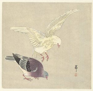 两只鸽子 作者 大原功臣