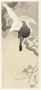 树枝上的两只鸽子 作者 大原功臣
