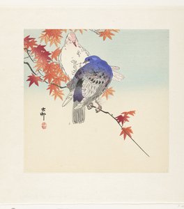 秋枝上的两只鸽子 作者 大原功臣