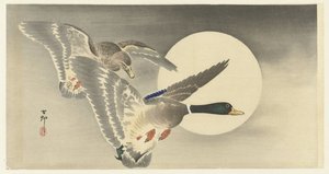 满月里的两只鸭子 作者 大原功臣