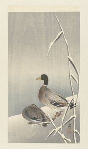Twee eenden op besneeuwde rietover 作者 大原功臣