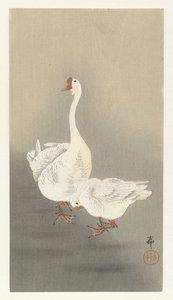 两只鹅 作者 大原功臣