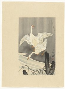 河边的两只鹅 作者 大原功臣