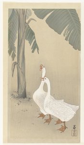 香蕉树旁的两只鹅 作者 大原功臣