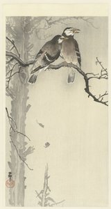 两只灰椋鸟 作者 大原功臣