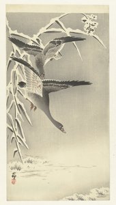 雪景中的两只科拉雁 作者 大原功臣