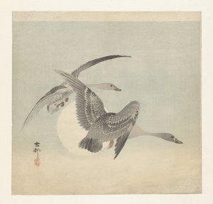 两只正在飞行的藤壶雁 作者 大原功臣