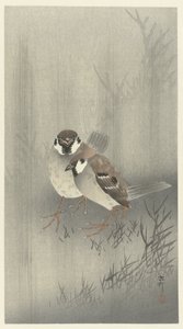 雨中的两只环雀 作者 大原功臣