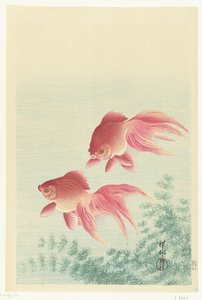 两条纱尾金鱼 作者 大原功臣