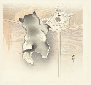 两只玩耍的狗 作者 大原功臣