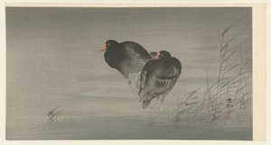两只月鹭 作者 大原功臣