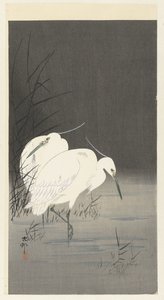 芦苇丛中的两只白鹭 作者 松树平吉