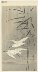 两只飞行中的白鹭 作者 大原功臣