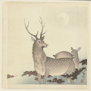 两只鹿 作者 大原功臣