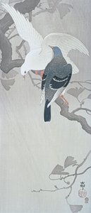 雨中的两只鸽子在银杏树的树枝上 作者 大原功臣