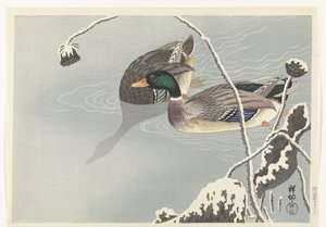 两只野鸭在白雪覆盖的荷花旁 作者 大原功臣