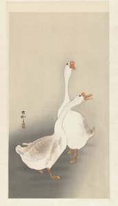 Two geese   1468347   zh       chinese Successfully Translated  Original: Musicians Translat: Musicians 1433643 zh chinese Successfully Translated Original: Das einhundertachtundsiebzigste Bild seit das zweite mal Geschichten erzählt werden 2 Translat: Das 作者 大原功臣
