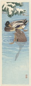 水里的两只野鸭 作者 大原功臣