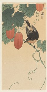 鸟类和卡其色 作者 大原功臣