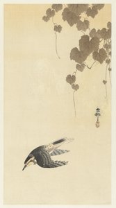向下飞行的鸟 作者 大原功臣