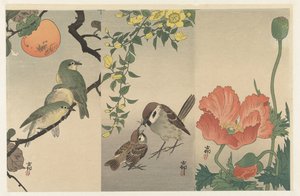 鸟类和植物 作者 大原功臣