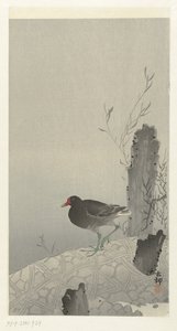 摩亨 作者 大原功臣