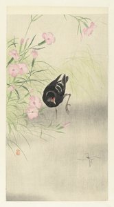 花丛中的摩尔人 作者 大原功臣