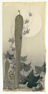 满月的野黄瓜 作者 大原功臣