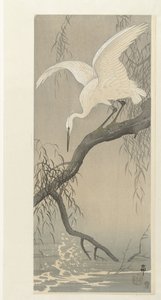 树枝上的白鹭 作者 秋山布右卫门