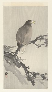 树枝上的秃鹰 作者 大原功臣