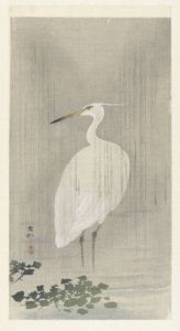 雨中的白鹭 作者 大原功臣