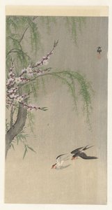 飞翔的燕子 作者 大原功臣