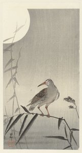 竹枝上的黑骑士 作者 大原功臣