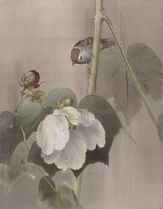 雨中的棉花玫瑰花束，约1891-92年。 作者 冈田百胜