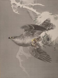 鹰抱小鸟，约1891-92。 作者 冈田百胜