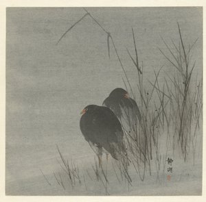 芦苇丛中的两只白鹭 作者 奥原精工