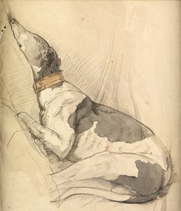 睡着的灵缇犬（铅笔，钢笔，墨水和水洗纸） 作者 Olive Branson