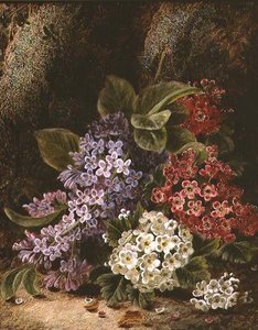 花卉的静物 作者 奥利弗·克莱尔