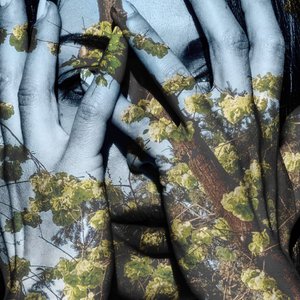 毛拉》，2022 年（数字混合媒介） 作者 