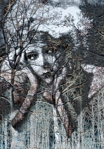 底片中的冬季肖像，2021 年（数字混合媒介） 作者 