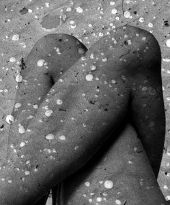 贝壳腿，2019（数字混合媒介） 作者 