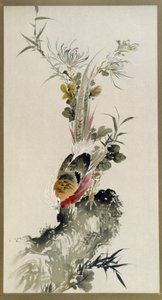 野鸡 - 水彩画，Onishi Keisaie 创作 作者 大西圭斋