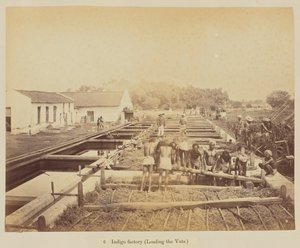 蓝靛厂（装桶）