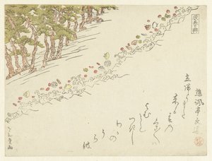 松树滩上的贝壳 作者 松风亭文雄